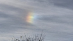 bc371dba-4922-41c4-b038-daf09dc53915