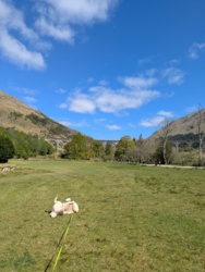 bc4e596b-eca6-4cae-a41a-ee5a76899ce1