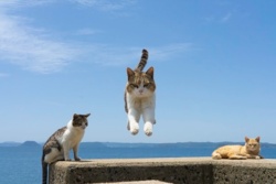 b87df541-c078-441f-95e6-09bbf7eaa9ba