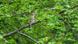 736bba76-23fb-46fc-b631-3d0c7d552398