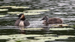 15d8b230-53ed-464b-aa6a-518c460a786f