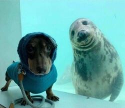 c2a97bdf-d4d7-410c-8c6d-5b65b35c3c57