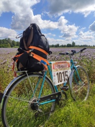 f36b4bc3-3ac8-4d6a-9629-91b864640fd3