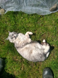 5056d710-9e8e-4f6a-9fc0-7d344c5c54bc