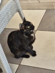 4d01ad40-084c-4114-a750-656fdffa41dd