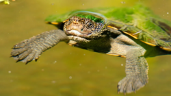 baec0e83-9342-4037-b98c-f2b491babfeb