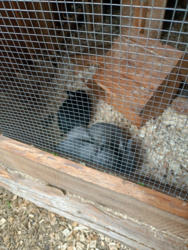 139875cd-31f8-42de-9983-1e9c9e7b7fb7