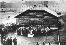 Byleby tylko esesmanom się podobało