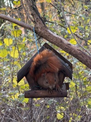 f3760057-cb58-4fab-83f0-ed07258bbf7d