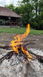 dee45bec-2e1b-4395-9232-5af09b9c2cbe