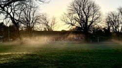 a87dd36c-c23b-4cca-8080-82c9dc1d651f