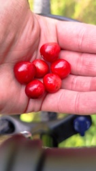 fe5e53be-2506-4c71-9bca-0c2582b8b7cd