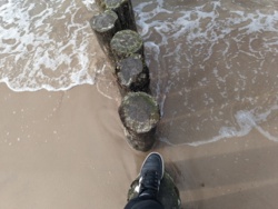 e087bb44-511d-45ac-b342-95c73a38cb99