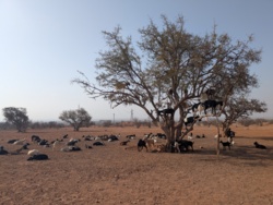 890388d3-2bb4-4336-9b7e-d8d84cdd49d4