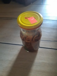 99c265ef-35c0-4a38-a20b-27b3693f9730