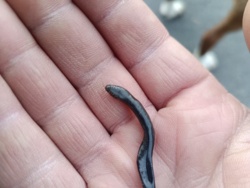 8793e1e7-87cf-4b81-a4fe-8ae0f7b2f80a