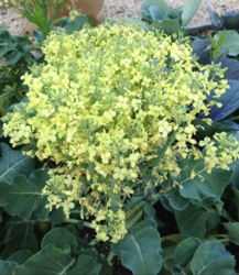 7da3c072-b485-40fb-bf08-e36ad18f57c3