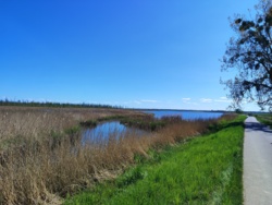 a55bcf95-35fc-4b32-91a7-b1511309c7d0