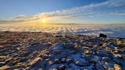 001c253c-f3de-4c6e-93e9-4fec83a66f45