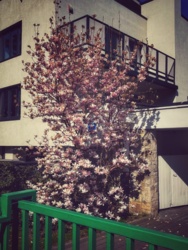 2d6741b0-75e8-48eb-916d-66570a522787