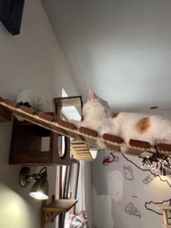 c71b2717-9a8f-40ba-88d0-6a2171230623