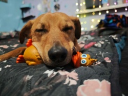 955bc6e2-ac97-412a-964e-05de95ab7cd9