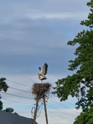 83df7125-77cf-4c31-8fe6-e75a7fb8229d