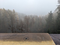 5f5c6ea5-e532-40a1-8af2-2813c957977c