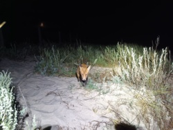 edc9b423-bd5b-45b6-83de-4425b44ef566