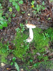 57675c35-c2ce-450b-be78-def859fb446f