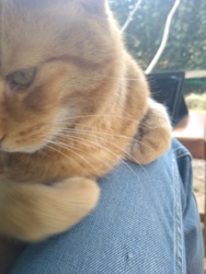 0660f249-84e6-4180-a295-61f32eb75e99