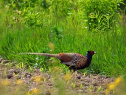 b30059cb-4b23-4c35-ba48-23c90a4aafa2