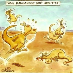 14e7ef28-a7e2-4ff3-a11e-e3f5e25712a9