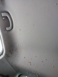 175659db-0f69-4dea-88b8-6e5748d718dc