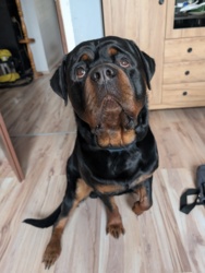 f7d9cf1e-4e35-48cf-b465-bfc1ab686fd4