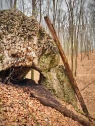 69ad10e7-bb4d-42a9-aec9-ff9724cc0b62