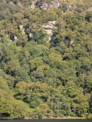 96f31d06-796e-494b-aa64-ae0d429bdae3