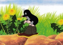 ac1b59cb-125b-4d75-bc47-a2cdf81be9eb