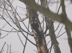 8b3705f5-43ac-43cc-b9c6-c2da149211f9