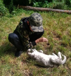 9002b445-9bca-42a9-a8c2-30cfbb34b44a