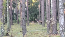 130e4be9-88ce-4d97-a748-8089461b6f33