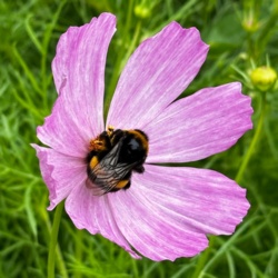 25a39c7c-14aa-4d49-9713-c89e4f6ab7b1