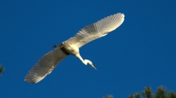 f271a5f8-c992-44a4-bc1e-d5d03aaffb9d