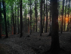 6a1276ee-13b6-40a8-baf2-3bcfb1fbe267