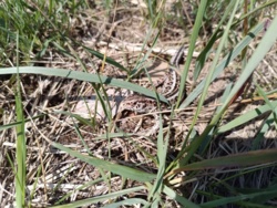 a67e917a-d976-45cf-aa93-a3abe4725f00