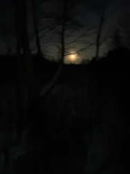 f92c1c42-be07-414d-b100-6d5388c7c3a3