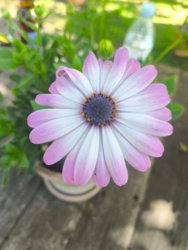 06b0b201-7e5d-430f-bd1a-d87137a96c3f