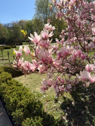 2b976cc2-1ef1-42d7-8c79-ac1868fda7b0