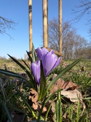 080827ee-7c86-478a-8bd4-6e865965458b