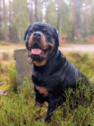 58f1904b-a9d7-43c1-be48-69e33df2f243